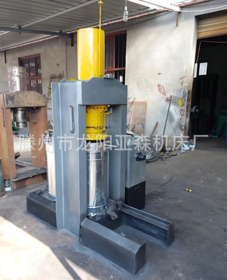 液壓立式榨油機 傳統工藝榨油機 豆類作物壓榨機器