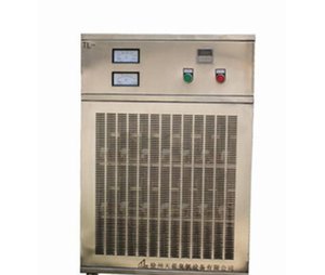 l高品質 【直銷】 優質 小型臭氧發生器 廢氣處理廠家