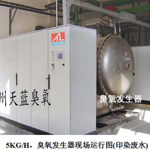 供應天藍氧氣源臭氧發生器TL-10KG，氧氣源，全自動化系統，PLC控制，印染廢水降解COD、脫色，