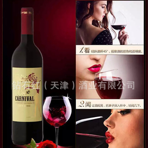 南非紅酒 原瓶原裝進口葡萄酒 開普嘉年華葡萄酒 進口紅酒