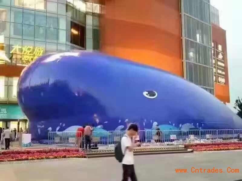 鯨魚島租賃全國租賃 生產廠家低價出租鯨魚島清單