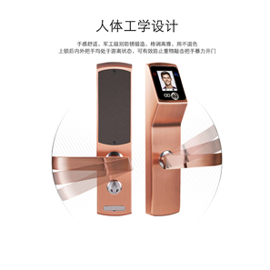 【帝曼歐Dimanou】人臉識別鎖，指紋密碼鎖，密碼鎖，面部識別鎖，高檔鎖