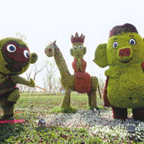 五色草  自然風景區 城市主題公園