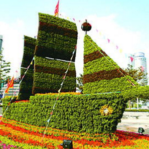 五色草  自然風景區 城市主題公園
