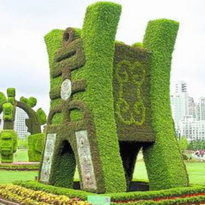 五色草  自然風景區 城市主題公園