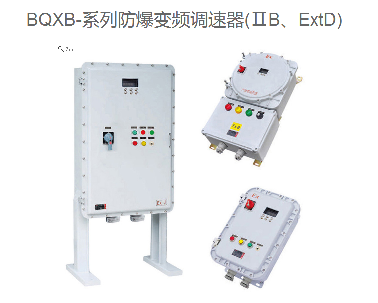 廣東 廠家直銷BQXB-系列防爆變頻調(diào)速器 可定制規(guī)格 型號