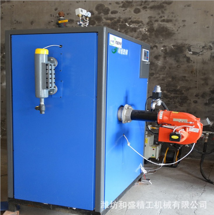 和盛燃氣鍋爐 蒸汽發生器 全自動立式燃氣蒸汽鍋爐 小型蒸汽發生器