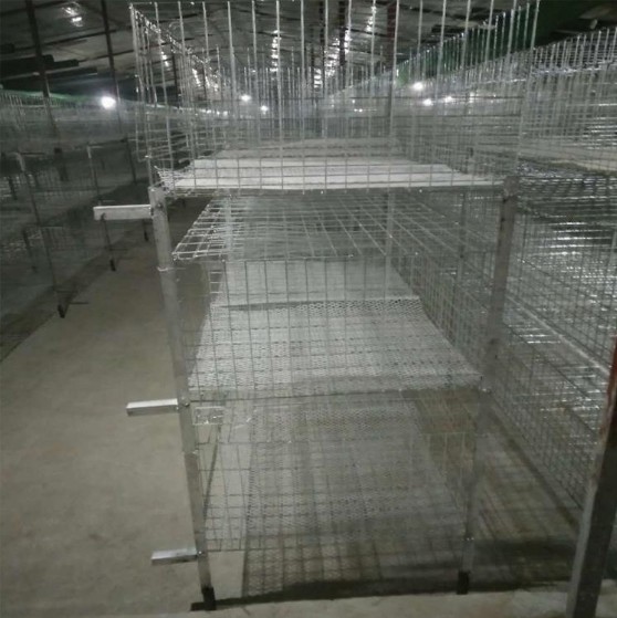 供應肉雞籠 四層兩門層疊式肉雞籠 蛋雞籠