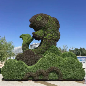 五色草新產品供應  形狀設計 制作安裝
