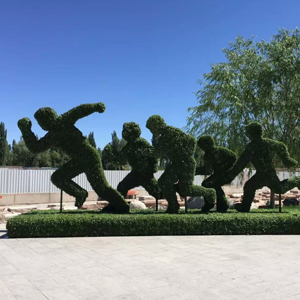 北京五色草供應  設計制作   廠家安裝     五色草