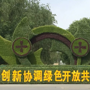 山西五色草 制作    設計安裝一體  五色草供應