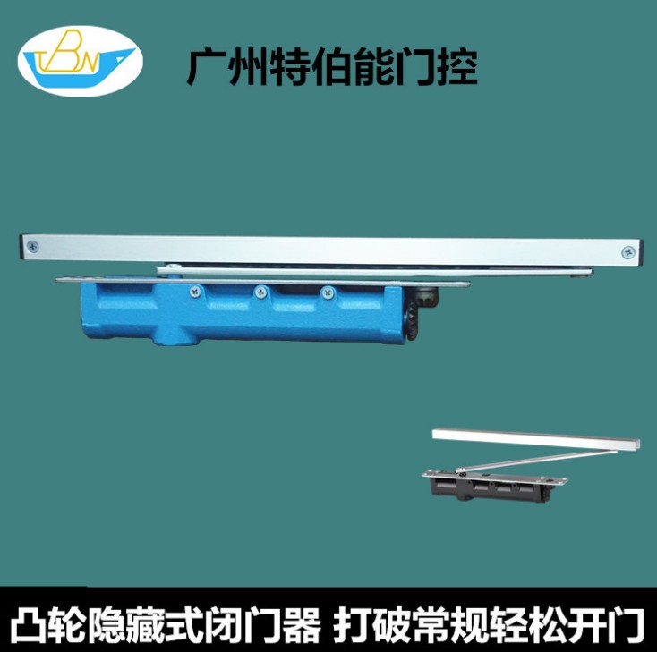 凸輪隱藏式鑄鐵缸體閉門器