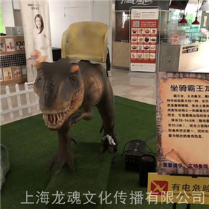 恐龍出租（全國）特色創意恐龍出租租賃  恐龍出租租賃