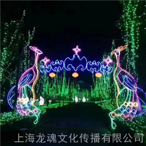 燈光節造型燈戶外 藝術景觀燈 夢幻燈光節出租