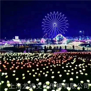 夢幻燈光節出租 藝術景觀燈 燈光節造型燈戶外