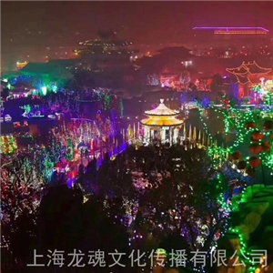 藝術景觀燈不銹鋼造型燈 夢幻燈光節出租