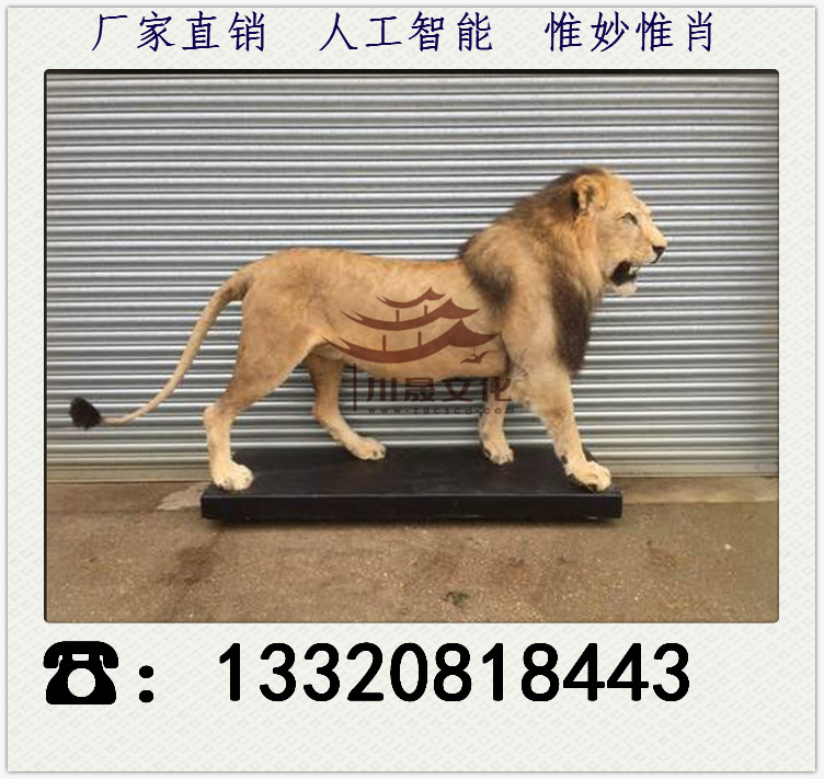 仿真恐龍工廠 仿真動物 仿真動物工廠