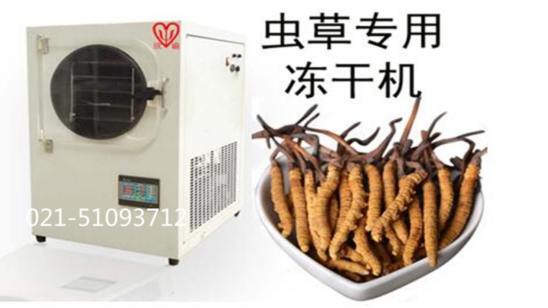 蟲(chóng)草冷凍干燥機(jī)保健品凍干機(jī)XY-FD-L4生物制藥真空冷凍干燥機(jī)