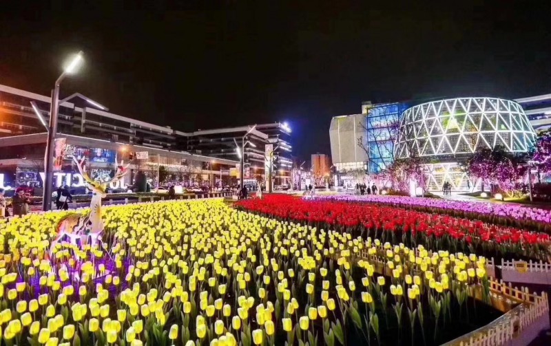 藝術景觀燈不銹鋼造型燈 夢幻燈光節出租