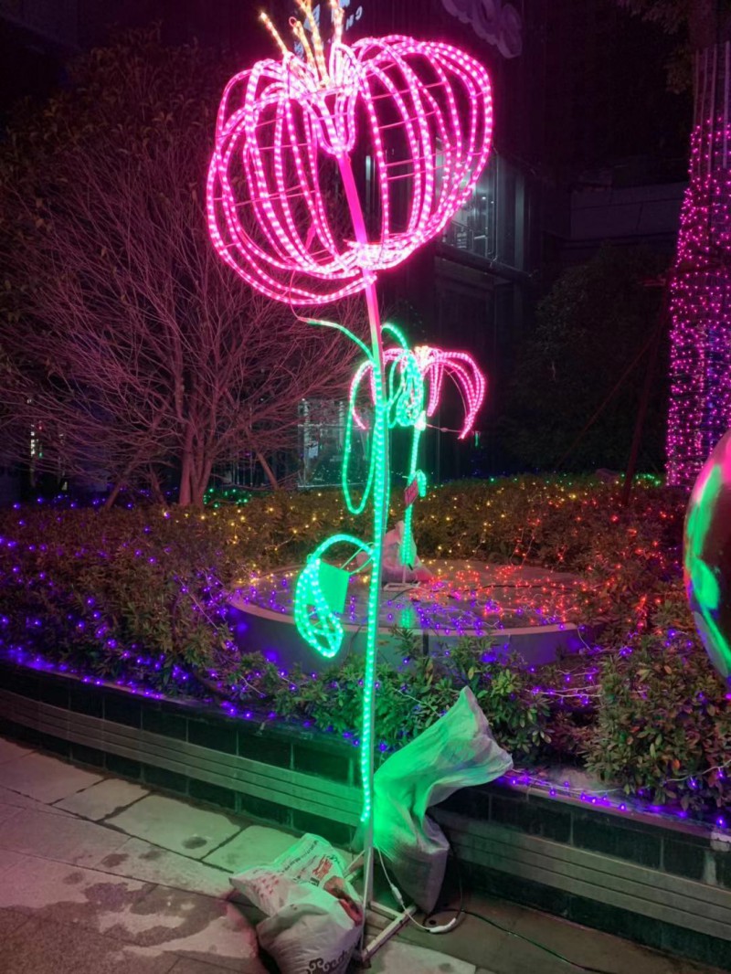 藝術景觀燈不銹鋼造型燈 夢幻燈光節出租