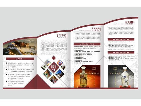 廠家直銷宣傳折頁 異形折頁  設計印刷折頁  定制折頁