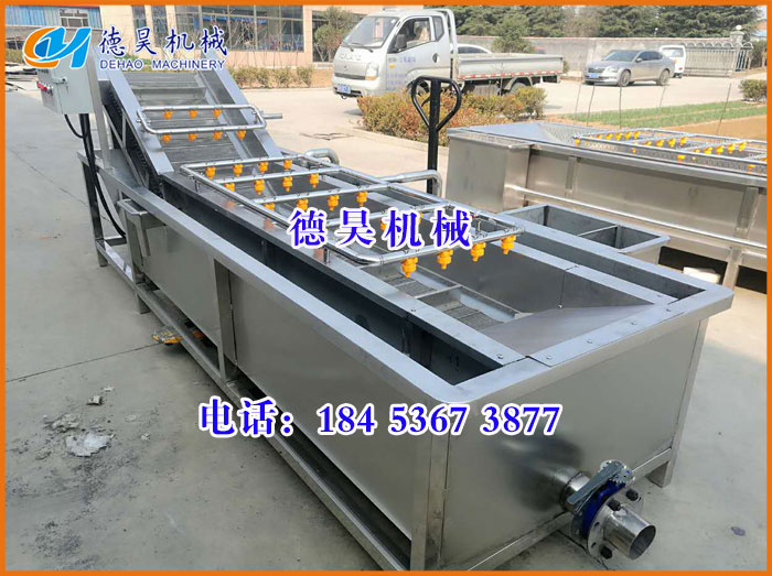 氣泡清洗機，蔬菜清洗機