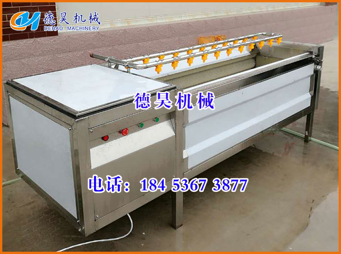 芋頭毛輥清洗機，蔬菜清洗機