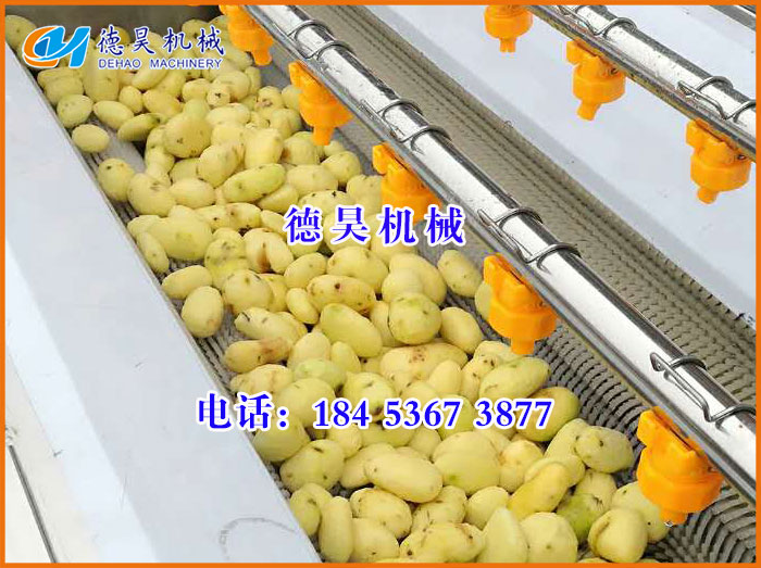 芋頭毛輥清洗機2