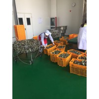 殺菌鍋，殺菌鍋供應(yīng)，殺菌鍋廠家，殺菌鍋價(jià)格，殺菌鍋直銷