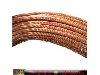 工藝先進(jìn)120mm2銅包鋼接地絞線通用防雷廠家送檢測(cè)報(bào)告