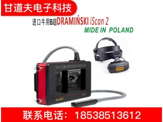 獸用B超機 獸用B超機廠家