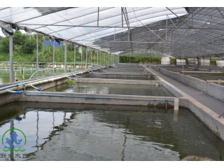 沈陽渾南養魚溫室