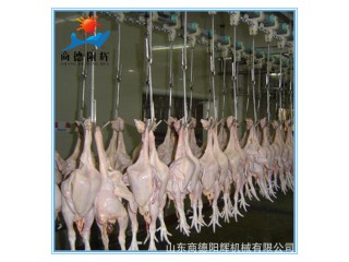 家禽屠宰流水線 鴿子屠宰設(shè)備 全自動(dòng)屠宰流水線