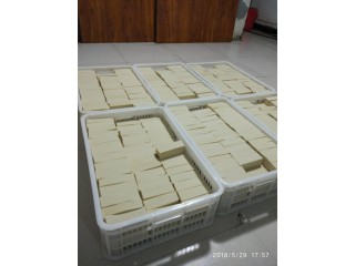 豆制品機(jī)器設(shè)備都有什么樣的，千葉豆腐設(shè)備免費教技術(shù)