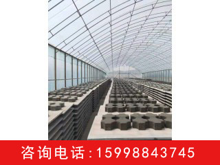 植草磚  廠家 批發(fā)  遼寧沈陽