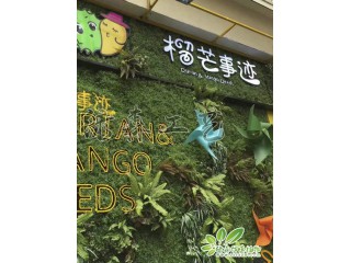 仿真植物墻 仿真植物墻生產廠家  沈陽仿真植物墻批發安裝