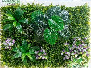 仿真植物墻 仿真植物墻生產廠家  沈陽仿真植物墻批發安裝