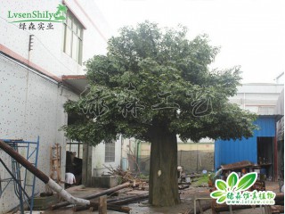仿真榕樹  沈陽仿真大榕樹批發安裝