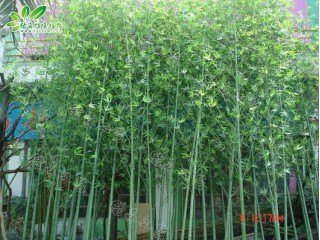 仿真竹子廠家直銷   沈陽仿真植物生產廠家