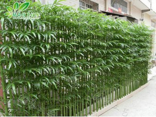 仿真竹子廠家直銷   沈陽仿真植物生產廠家