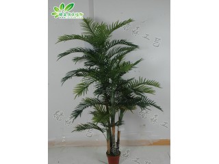 仿真連心散尾葵廠家直銷   沈陽仿真植物生產廠家