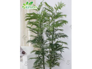 仿真迷你散尾葵廠家直銷   沈陽仿真植物生產廠家