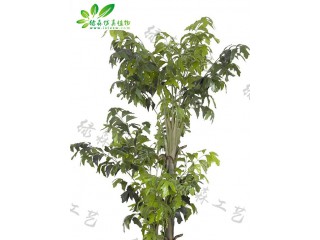 仿真三桿魚尾葵廠家直銷   沈陽仿真植物生產廠家