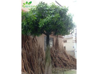 仿真大辮子發財樹  廠家直銷    沈陽仿真植物生產廠家