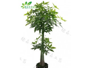 仿真兩層發財樹  廠家直銷    沈陽仿真植物生產廠家