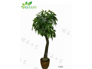 仿真彎桿發財樹   廠家直銷    沈陽仿真植物生產廠家