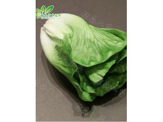 仿真白菜 廠家直銷    沈陽仿真植物生產廠家