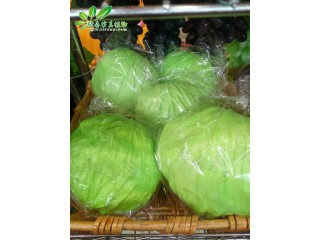 仿真包菜 廠家直銷    沈陽仿真植物生產廠家