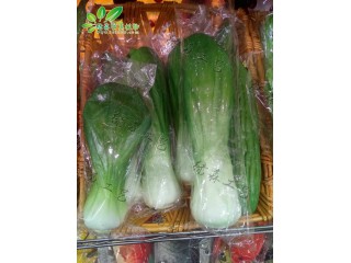 仿真上海青  廠家直銷    沈陽仿真植物生產廠家