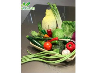 仿真蔬菜  廠家直銷    沈陽仿真植物生產廠家